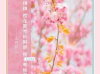 简单好用的樱花朋友圈文案：樱花点缀，春日里的温柔浪漫