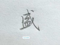 盛组词 解答盛组词有哪些与盛的笔顺怎么写！