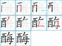 “酵”字到底怎么读？“酵”字的正确拼音是什么？用“酵”字能组什么词？