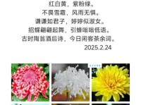 不是花中偏爱菊，此花开尽更无花。