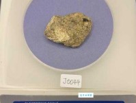 似是而非意思解释及典故