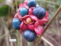 一度的意思：生命中的那些瞬间