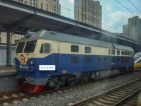 鸿鹄什么意思：从古至今的志向与追求