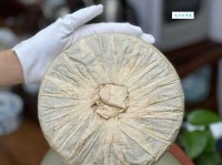 人定胜天意思解释及典故：人类意志与自然的较量