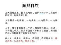 淡雅是什么意思？一篇文章带你彻底读懂淡雅！