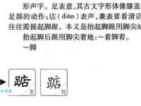 踮字怎么读？踮字拼音及组词，一看就懂的学习方法