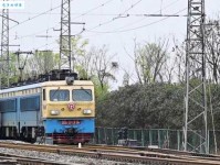 桀骜不驯是什么意思：不屈的灵魂与自由的精神