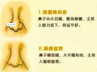 鹰鼻鹞眼是什么意思？带你深入了解这种长相的含义！