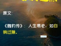 白驹过隙的意思解析如何理解时光飞逝