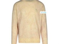 婢学夫人什么意思：追求优雅与尊严的启示