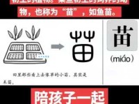 苗字组词造句精选