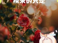 妥协的意思是什么 生活中我们为什么要妥协