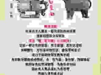 觥筹交错意思怎么理解？结合生活场景让你秒懂含义