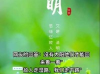 清明时节雨纷纷，路上行人欲断魂。