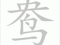 鸯组词_鸯字组词