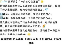 一片冰心在玉壶：成语“一片冰心”的含义、例句及用法