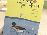 柔软的阳光的主要内容是什么