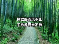树欲静而风不止是什么意思？详解成语出处及含义
