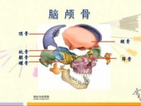 颅的部首(它跟脑袋瓜子有什么关系)