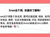 scope是什么意思_scope的中文翻译