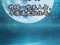 昨风一吹无人会，今夜清光似往年。