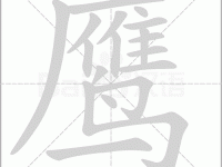 鹰组词_鹰字组词