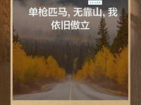 单枪匹马的意思和反义词团队合作与单枪匹马哪个更重要