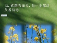 初冬唯美短句文案：表达冬日暖阳的句子
