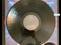 想知道genital是什么意思？这里有详细解释