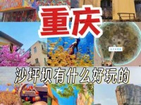 坪坝是什么意思简单解释一下这个词汇