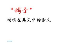 鸽怎么念？鸽子的拼音、组词和详细含义都在这里