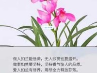 想知道怡然自得是什么意思？看这里就明白！