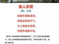 故园东望路漫漫，双袖龙钟泪不干。