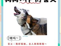 你知道犬吠的意思吗？一篇文章帮你轻松掌握用法