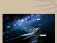 浮游是什么意思？简单一句话帮你搞明白！