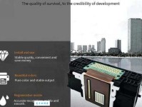 着力的意思：在专注中实现梦想