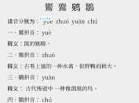 鹡怎么读？鹡的读音和意思