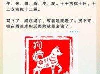 夜夜笙歌什么意思指什么生肖？详解其背后的多重含义！