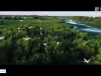 绿意流彩是什么意思？详解绿意流彩的含义及用法