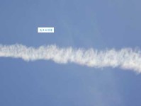 时意的意思：岁月里的点滴感悟