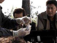 畏罪潜逃的意思(是真怕还是假怕)