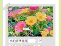 花无百日红的意思怎么理解？看懂这篇内容就够了