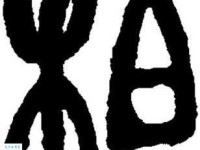 柏组词 解答柏组词有哪些与松柏的柏组词怎么写！