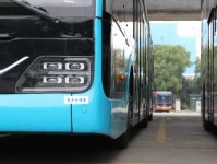 龙腾虎跃意思解释及典故：中华文化的活力象征