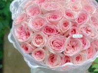 514情人节送什么花？不同颜色玫瑰代表的话语