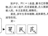 想知道“芪”字怎么读吗？这里有“芪”字的拼音、读音和组词详解！