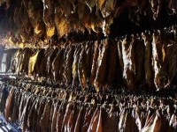 探渊索珠是什么意思(  还是贬义词)