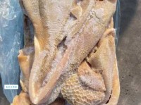 惨无人道意思解释及典故：人性的阴暗面