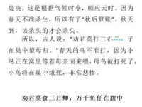 应天顺时什么意思？应天顺时四字成语意思解释、出处