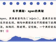 Agnes是什么意思？Agnes怎么读？Agnes例句及用法